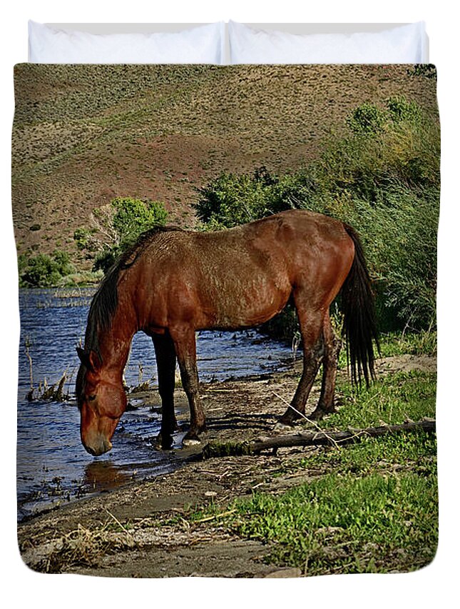 Wild Horse Duvet Cover featuring the photograph Wild Horse - Equus ferus by Amazing Action Photo Video