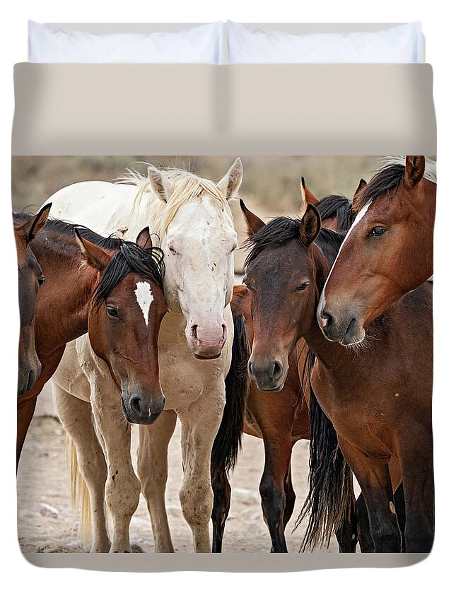 Wild Horses Duvet Cover featuring the photograph Wild Horse Huddle by Wesley Aston