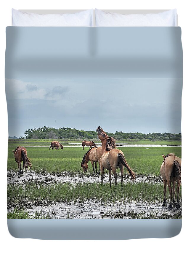 Wild Duvet Cover featuring the photograph Wild Horse Love in Sight by Fon Denton