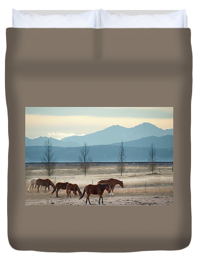 America Duvet Cover featuring the photograph Wild Mountain Horses - Rocky Mountains Colorado by Gregory Ballos