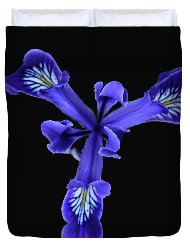 Flower Duvet Cover featuring the photograph Wild Purple Iris by Carl Moore