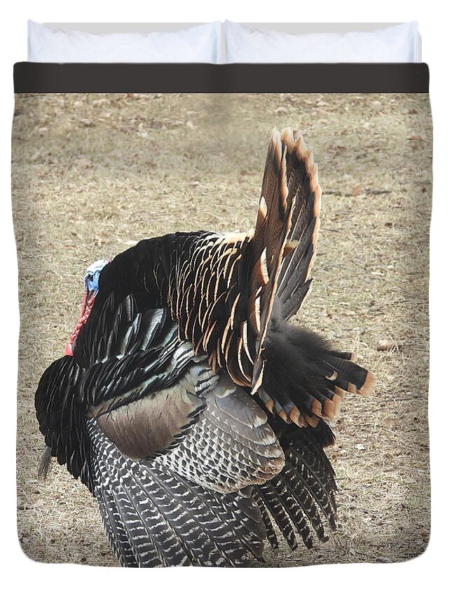 Wild Turkey Duvet Cover featuring the photograph Wild Turkey Tom 3 by Amanda R Wright