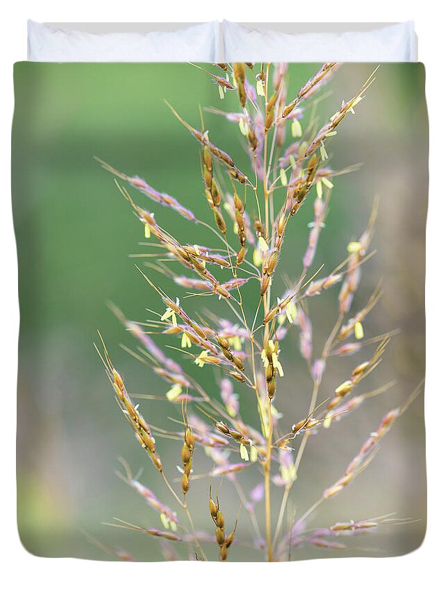 Nature Duvet Cover featuring the photograph Wild Wheat by Amelia Pearn
