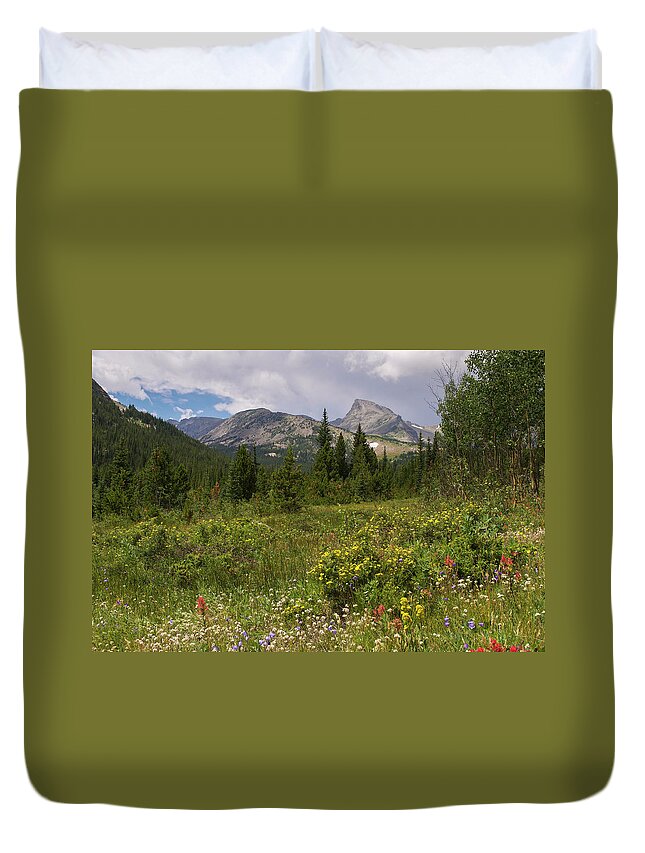 Sawtooth Duvet Cover featuring the photograph Wildflowers and the Sawtooth by Aaron Spong