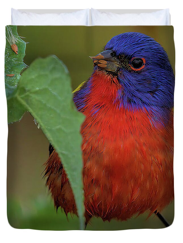Florida Duvet Cover featuring the photograph Wildlife_Painted Bunting_Everglades National Park_IMGL6201 by Randy Matthews