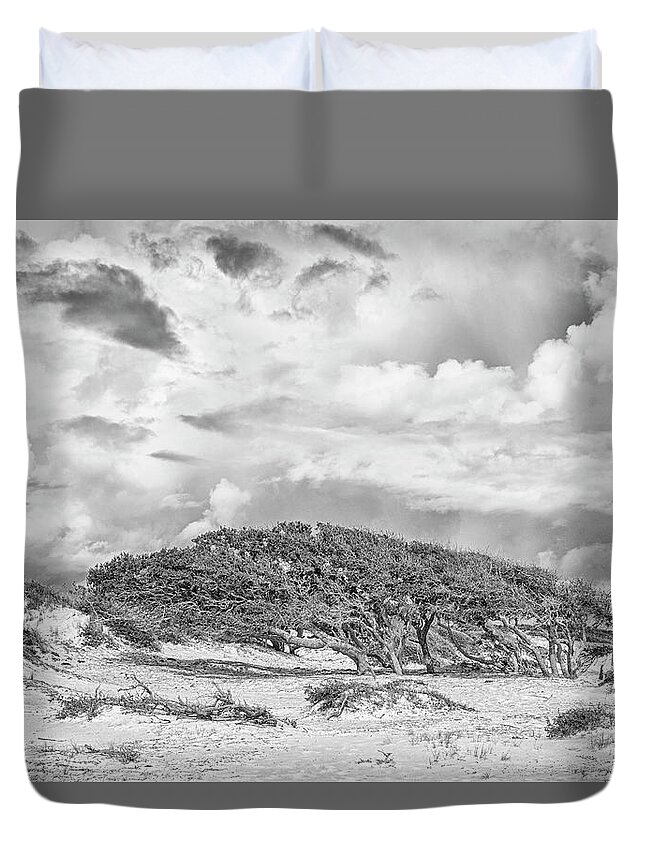 Live Oak Duvet Cover featuring the photograph Wind Swept Live Oaks - Cedar Island North Carolina by Bob Decker