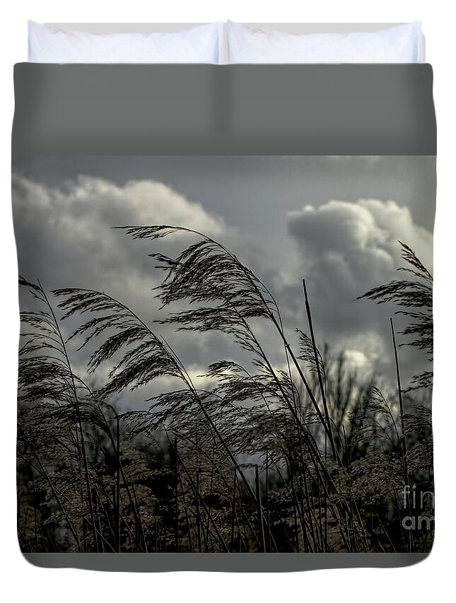 Nature Duvet Cover featuring the photograph Winds of Change by Stephen Melia