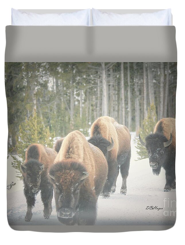 Buffalo Duvet Cover featuring the photograph Winter Buffalos by DB Hayes