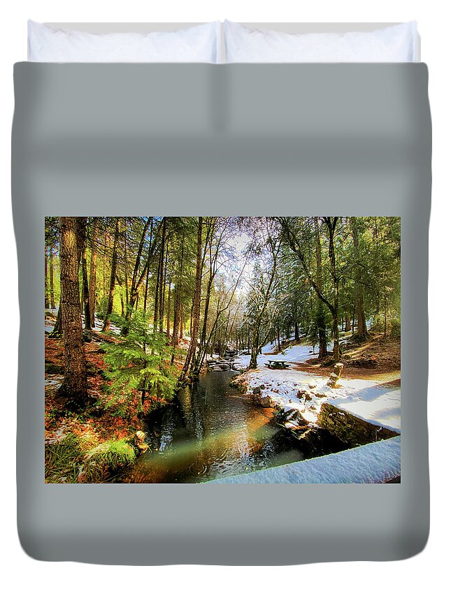 Landscape Duvet Cover featuring the photograph Winter Creek by Steph Gabler