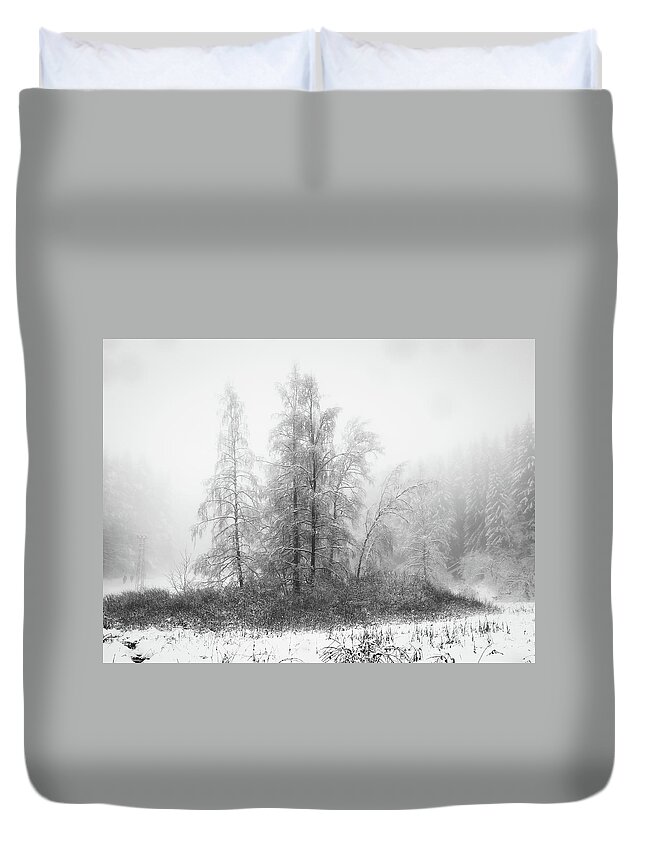 Black & White Duvet Cover featuring the photograph Winter day in a mountain by Jivko Nakev