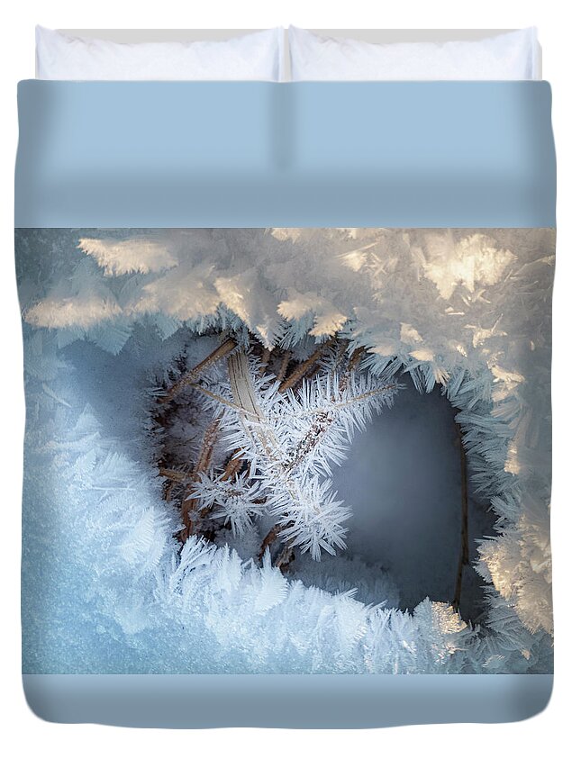 Winter Duvet Cover featuring the photograph Winter Eye Pattern by Karen Rispin