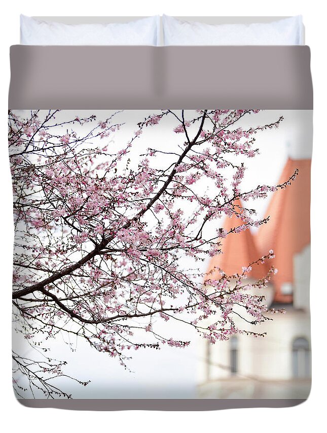 Jenny Rainbow Fine Art Duvet Cover featuring the photograph Winter Flowering Cherry Tree in Prague by Jenny Rainbow
