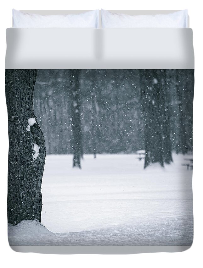 Winter Forest Floor Duvet Cover featuring the photograph Winter Forest Floor by Dan Sproul