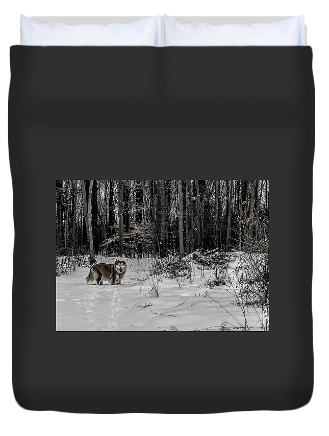  Duvet Cover featuring the photograph Winter Hike by Brad Nellis