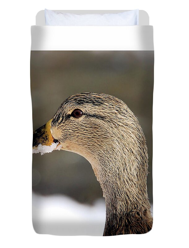 Duck Duvet Cover featuring the photograph Winter Mallard Duck Snowy Beak by Elaine Manley