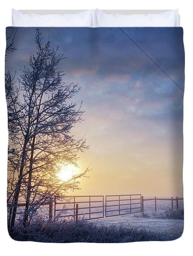 Winter Duvet Cover featuring the photograph Winter Morning by Dan Jurak