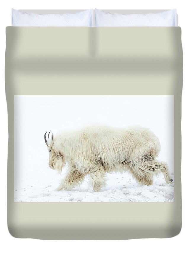 Mountain Goat Duvet Cover featuring the photograph Winter Mountain Goat by Wesley Aston