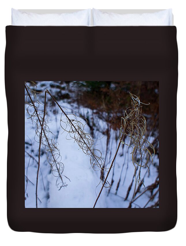 Rosebay Willowherb Duvet Cover featuring the photograph Winter of Fireweed by Elena Perelman
