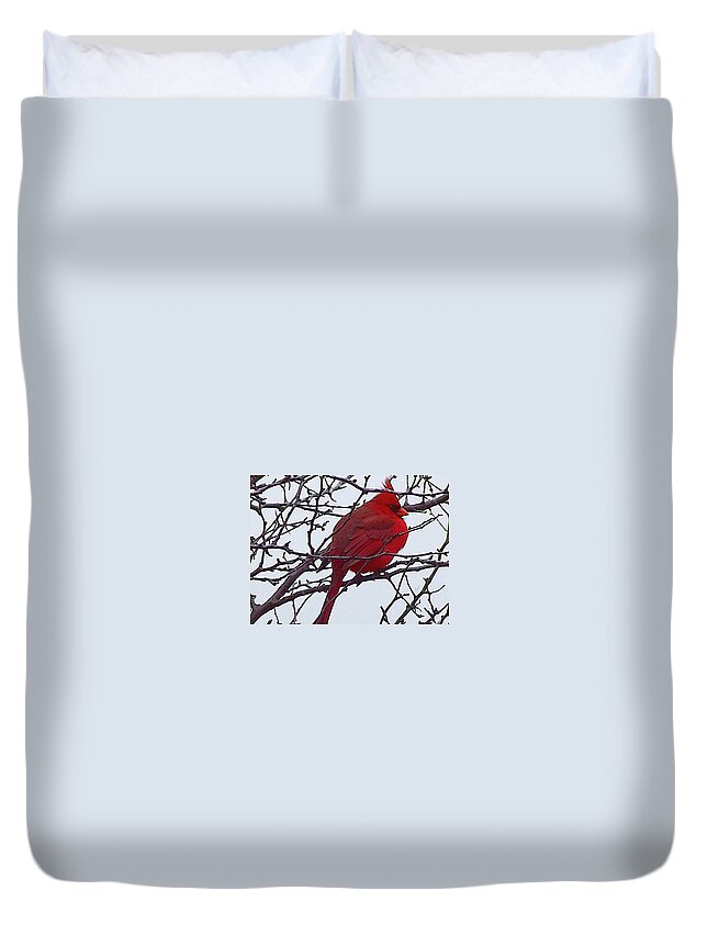 Redbird Duvet Cover featuring the mixed media Winter Red Bird, a cardinal in winter by Shelli Fitzpatrick