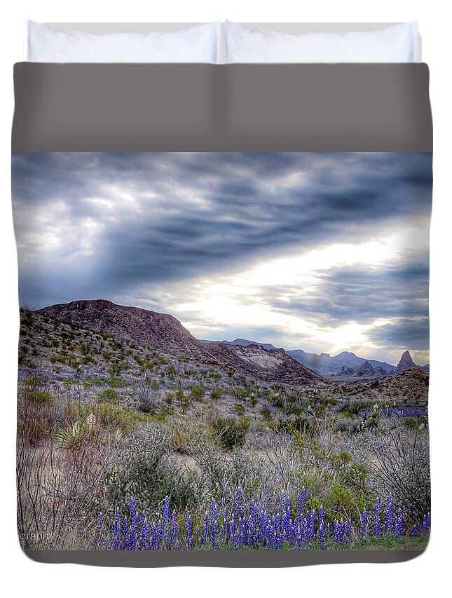 Big Bend Duvet Cover featuring the photograph Winter Skies in Big Bend by Pam Rendall