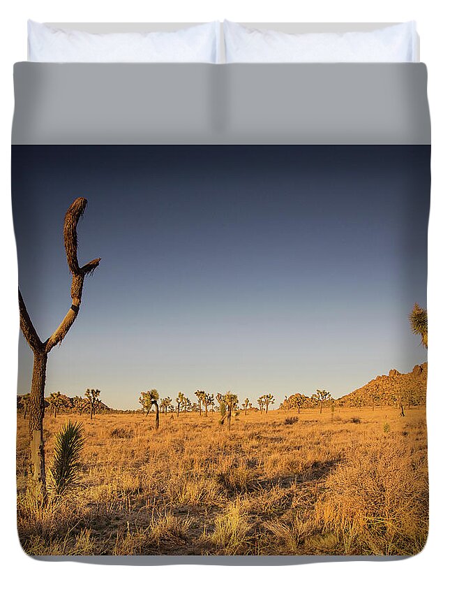Joshua Tree National Park Sunset Duvet Cover featuring the photograph Winter sunset in the desert by Kunal Mehra