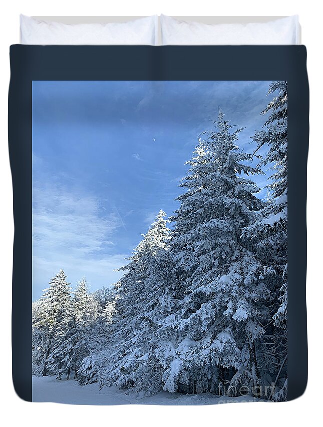  Duvet Cover featuring the photograph Winter Wonderland by Annamaria Frost