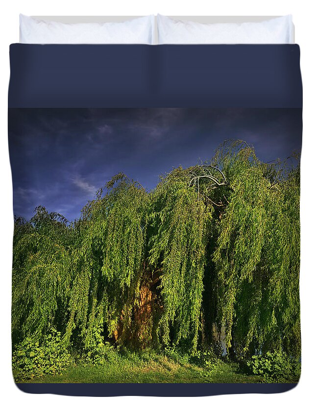 Trees Duvet Cover featuring the photograph Wisdom by Laurie Search