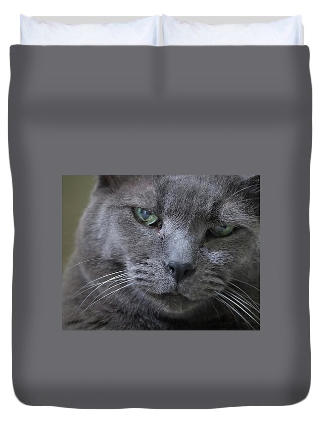 Cat Duvet Cover featuring the photograph Wise Old Cat by M Kathleen Warren
