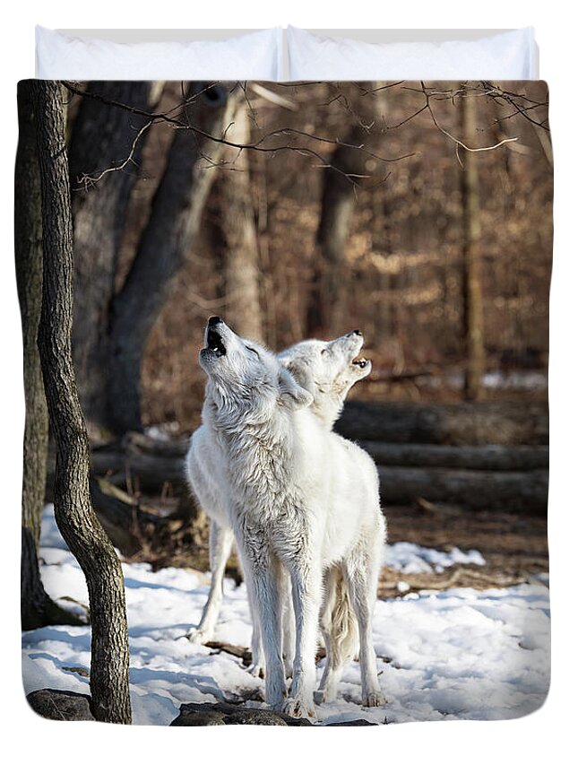 Winter Duvet Cover featuring the photograph Wolf song by Rehna George