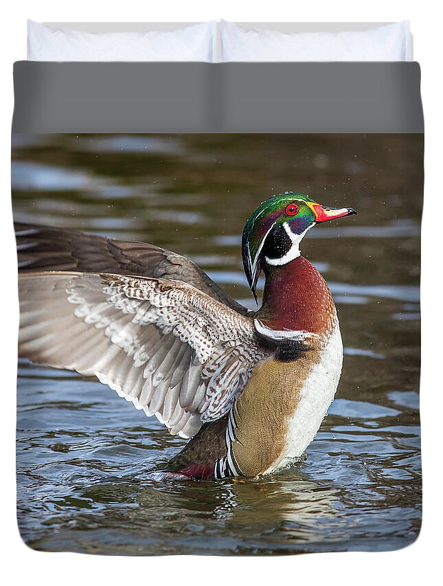 Wood Duck Action Duvet Cover featuring the photograph Wood duck action by Lynn Hopwood