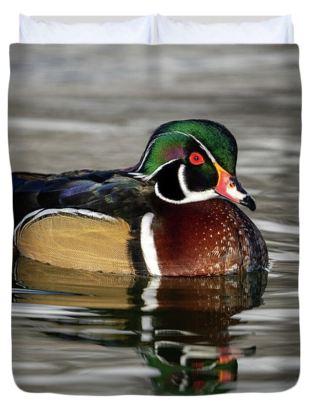 Wood Duck Duvet Cover featuring the photograph Wood Duck on Pond by Wesley Aston