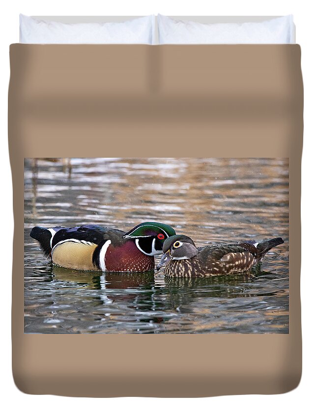 Wood Ducks Duvet Cover featuring the photograph Wood Duck Pair by Wesley Aston
