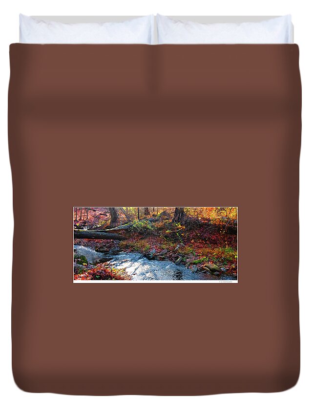 Woodland Duvet Cover featuring the photograph Woodland Brook in Autumn by A Macarthur Gurmankin