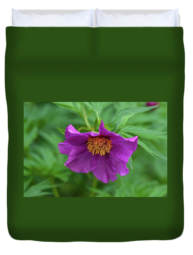  Duvet Cover featuring the photograph Woodland Peony by Jenny Rainbow