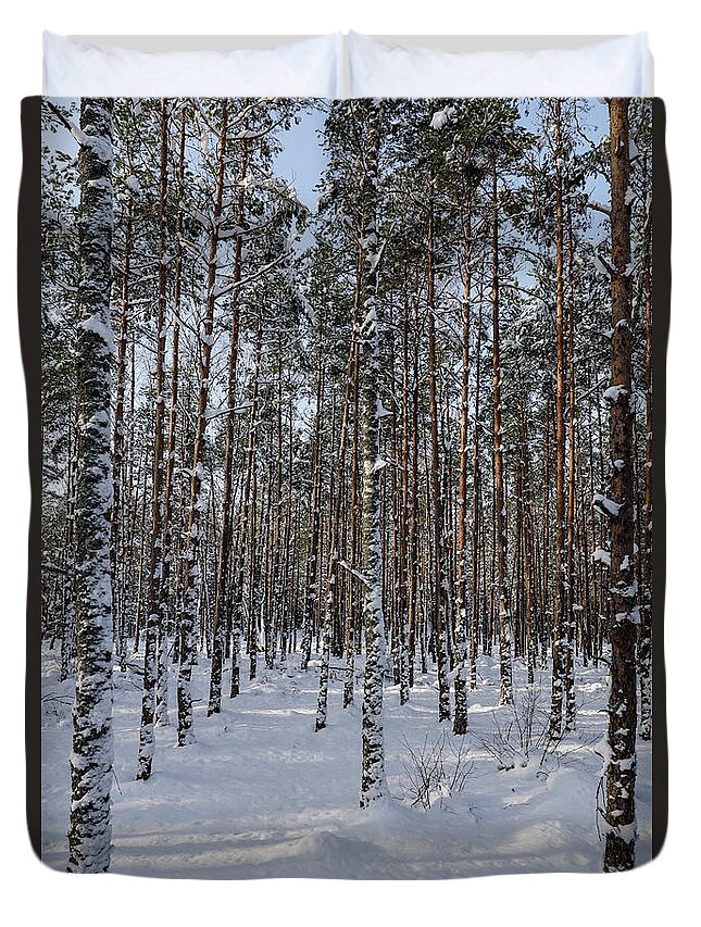 Fituna Duvet Cover featuring the photograph Woods in snow by Alexander Farnsworth