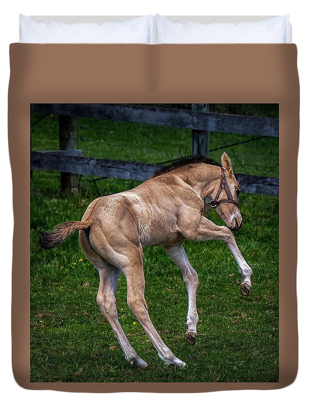 Animals Duvet Cover featuring the photograph Yeehaw by Brian Shoemaker