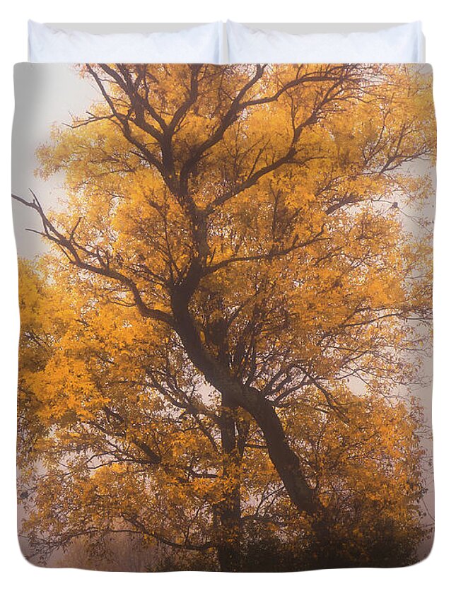 Fall Duvet Cover featuring the photograph Yellow Autumn by Jason Fink