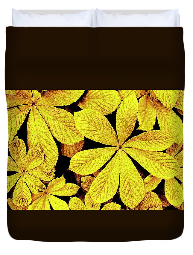 Yellow Duvet Cover featuring the photograph Yellow autumn leaves by Severija Kirilovaite