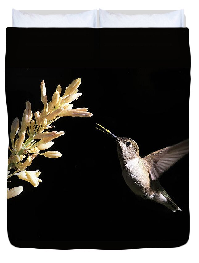 Black-chinned Hummingbird Duvet Cover featuring the photograph Yellow Beak by Donna Kennedy