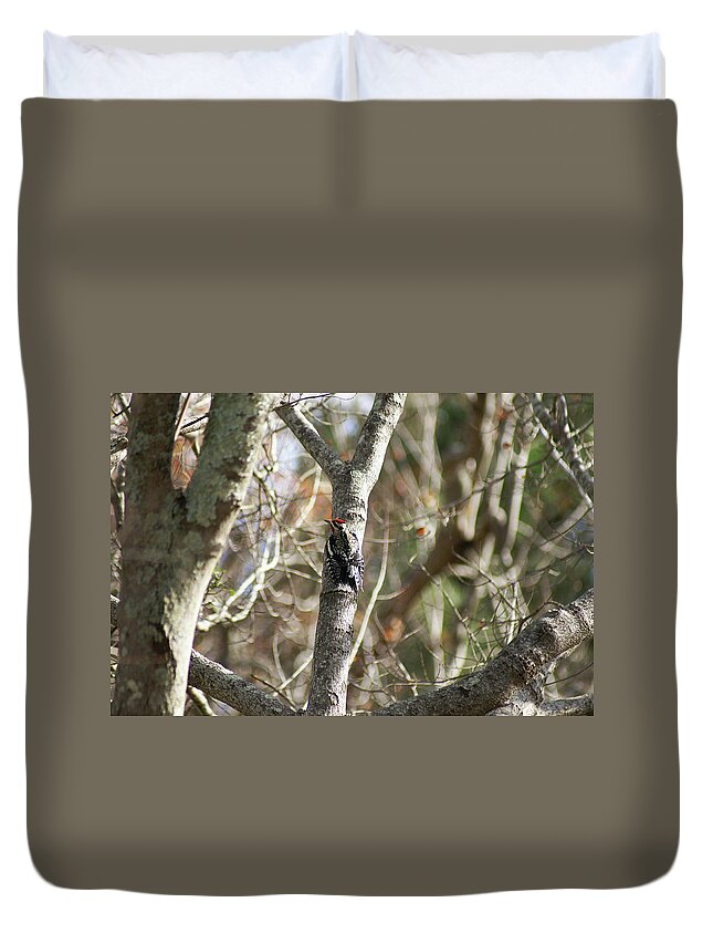 Duvet Cover featuring the photograph Yellow-bellied Sapsucker by Heather E Harman