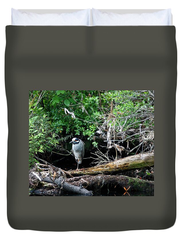 Yellow-crowned Night-heron Duvet Cover featuring the photograph Yellow-crowned Night-heron by Sally Weigand