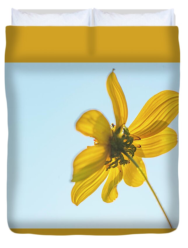 Daisy Duvet Cover featuring the photograph Yellow Daisy And Sky by Karen Rispin