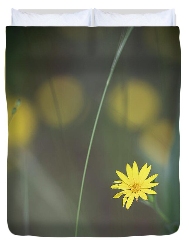 Daisy Duvet Cover featuring the photograph Yellow Daisy Close-up by Karen Rispin