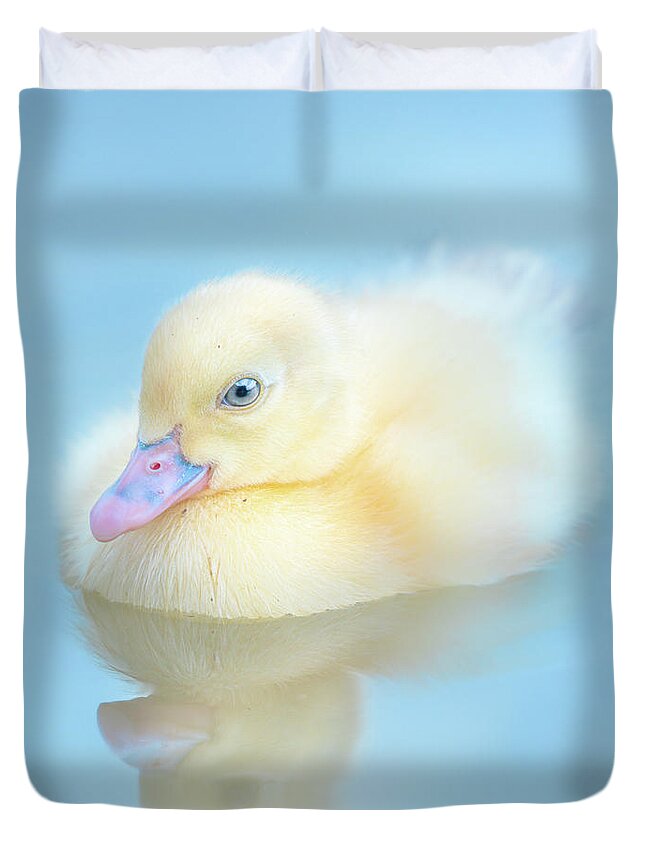 Yellow Duckling Duvet Cover featuring the photograph Yellow Duckling Reflections by Jordan Hill