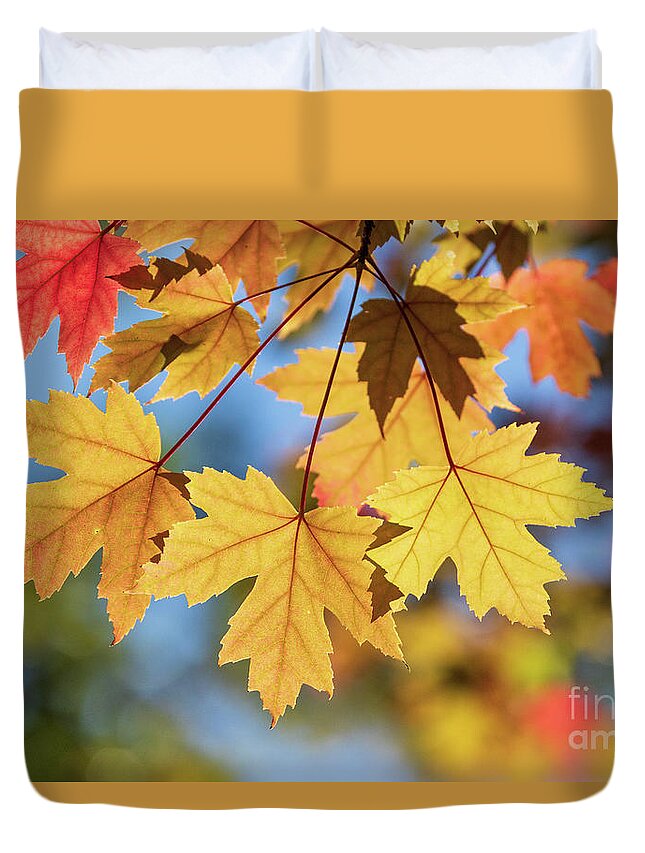 Fall Leaves Duvet Cover featuring the photograph Yellow Fall Leaves by Mimi Ditchie