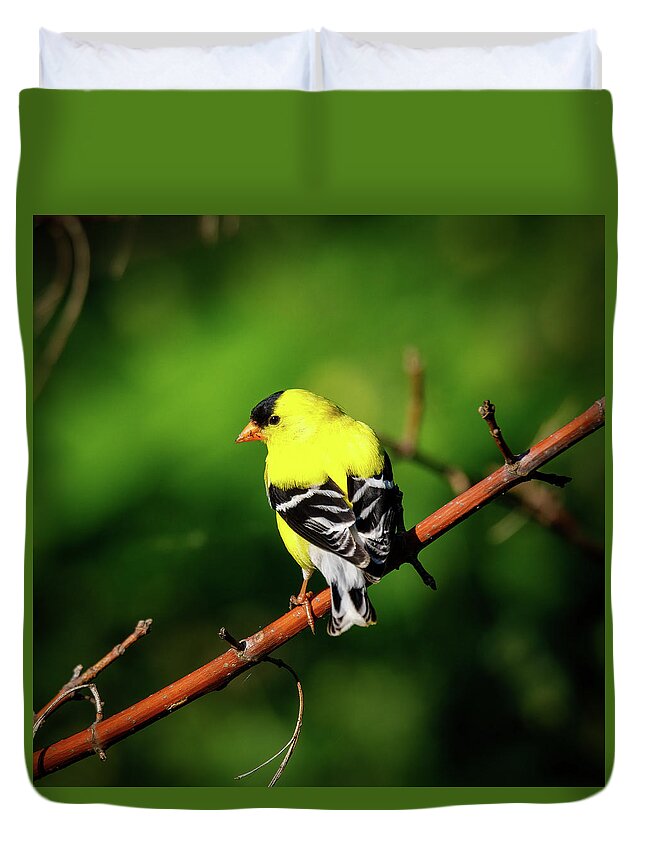 Bird Duvet Cover featuring the photograph Yellow Finch by David Beechum