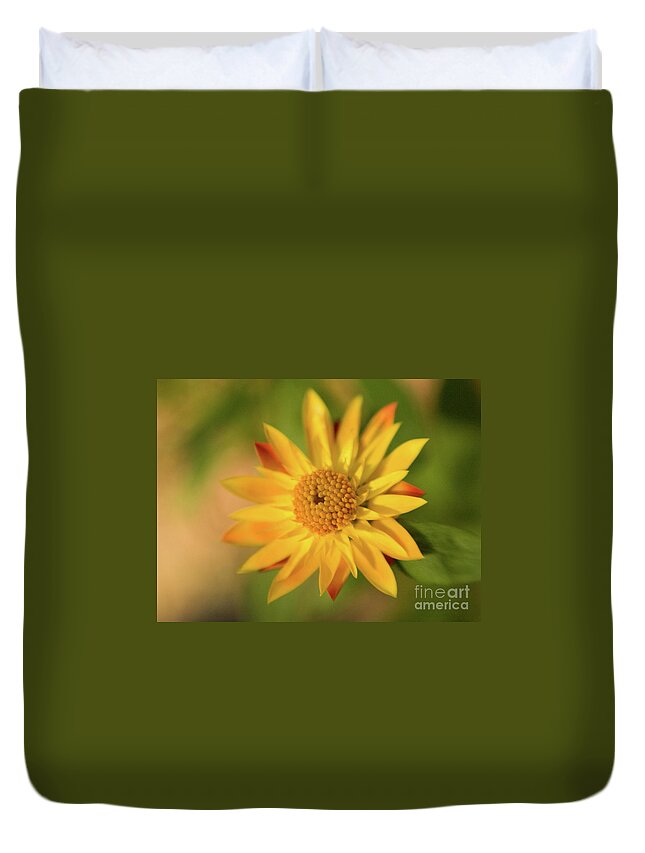 Color Duvet Cover featuring the photograph Yellow Flower 2 by Dorothy Lee