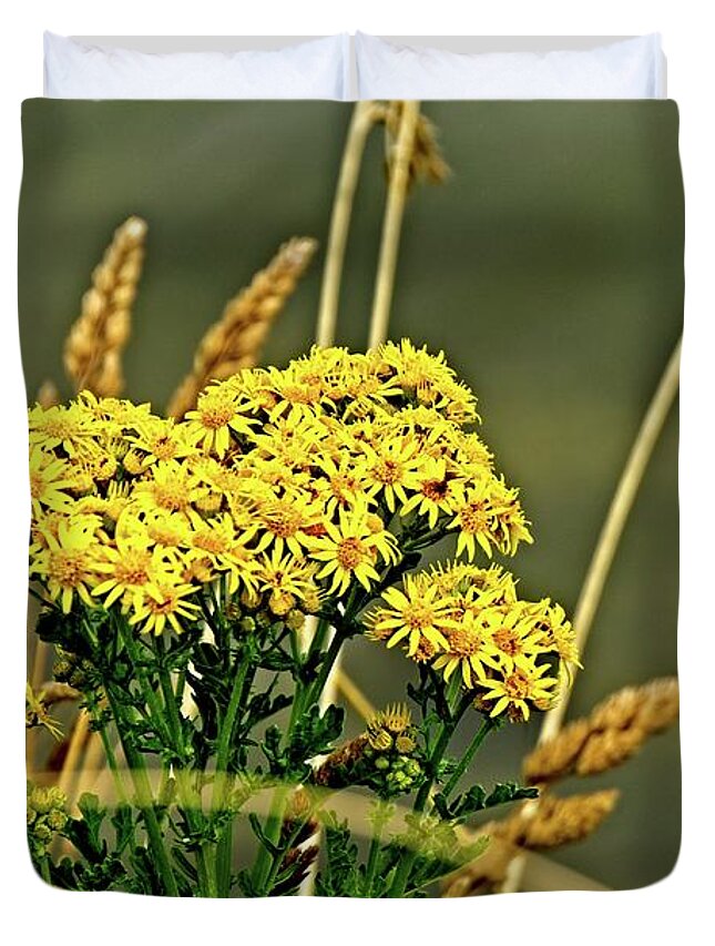 America Duvet Cover featuring the photograph Yellow Flowers, Brown Stalks by David Desautel