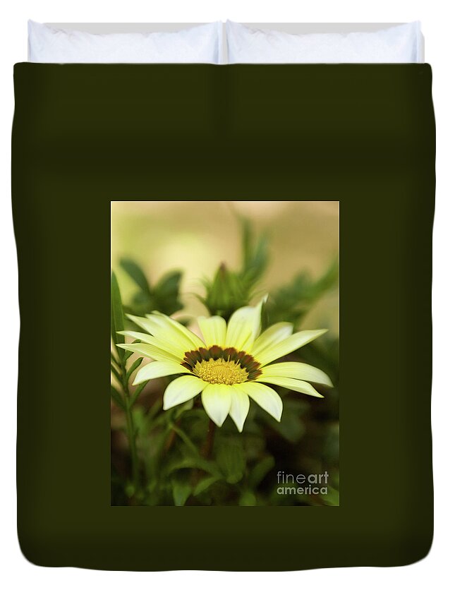 Color Duvet Cover featuring the photograph Yellow Gazania In Springtime 7 by Dorothy Lee