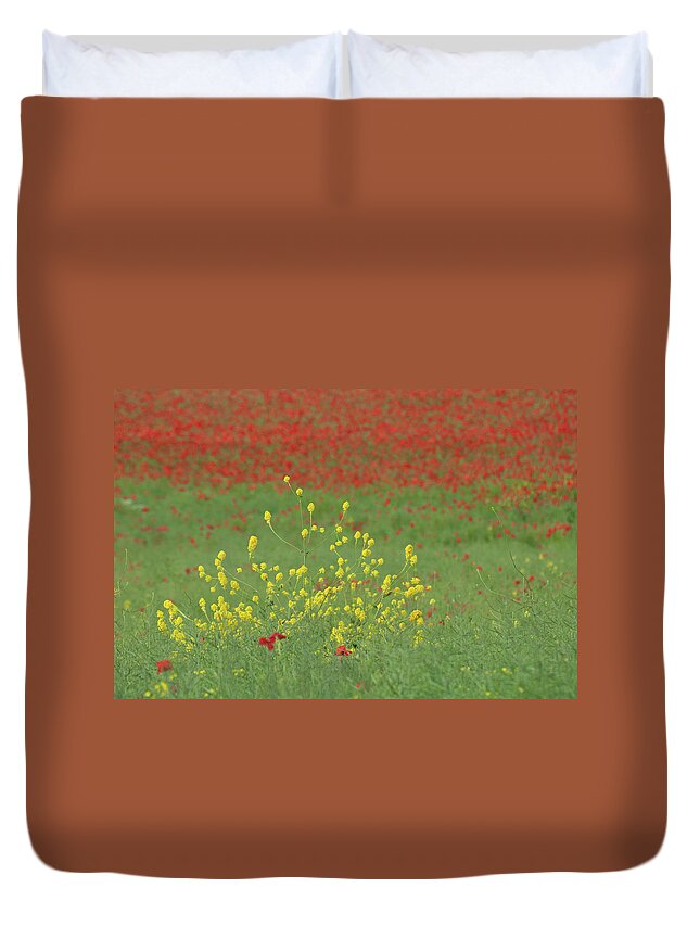 Field Duvet Cover featuring the photograph Yellow in a field of red by Average Images